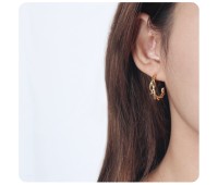 Silver Stud Earring STS-6108